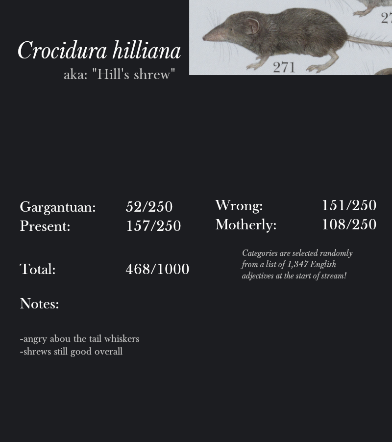 Crocidura hilliana